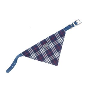 Collar with scarf