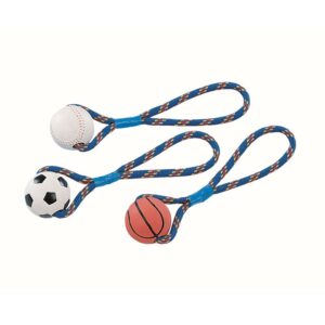 Rubber ball with rope