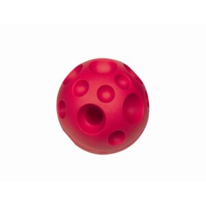 Vinyl Snack ball for dogs 12 cm