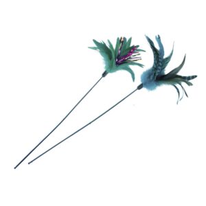 Feather frond with feather