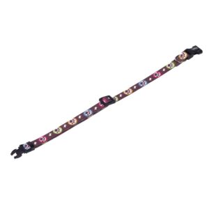 Collar PAW, 20-35 cm x 10 mm