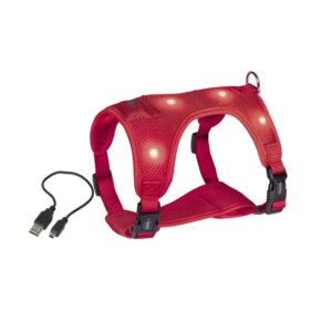 Harness FLASH MESH, L, Red